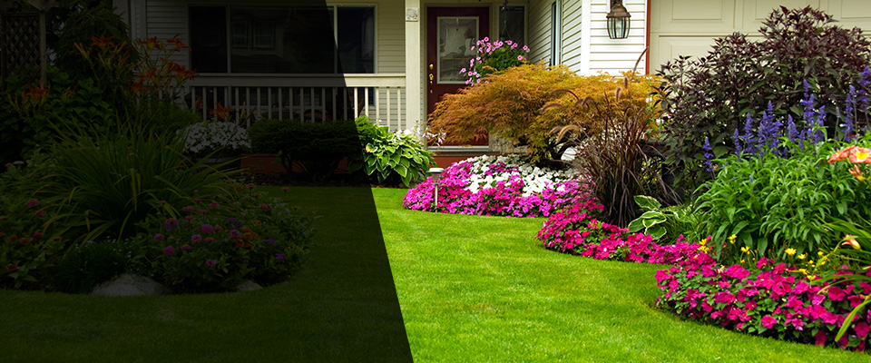 New Bloomfield Landscapers